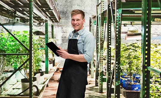 Man in greenhouse with digital tablet