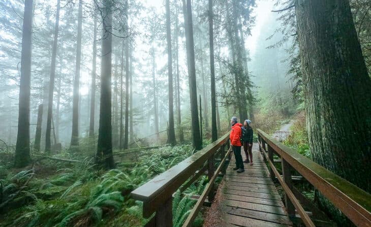 Couple hiking on boardwalk in forest