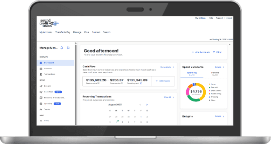 Screenshot of Budget & Goals on a laptop.